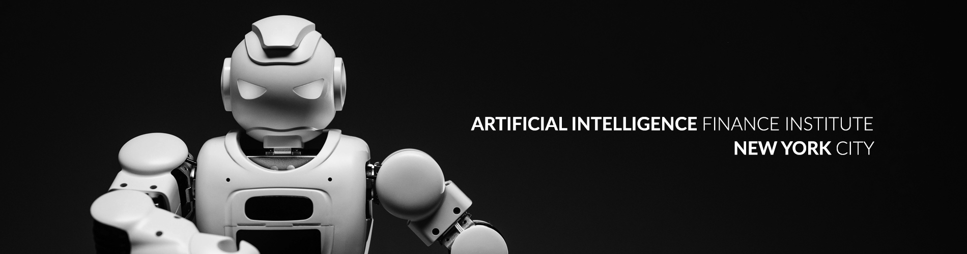 Artificial Intelligence Finance Institute - New York City